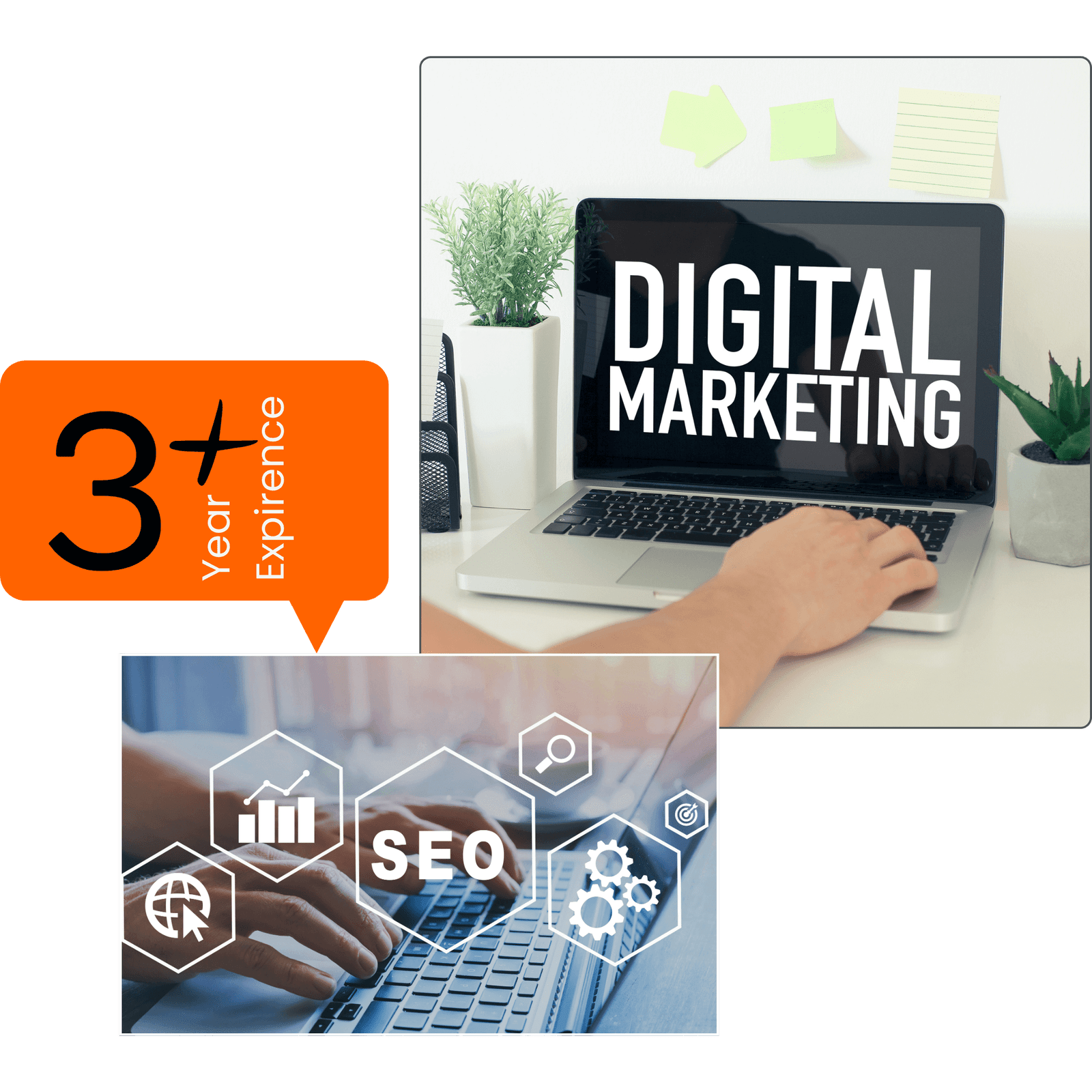 Drive In Digital Trade - Digital Marketing and SEO with 3+ Years of Experience