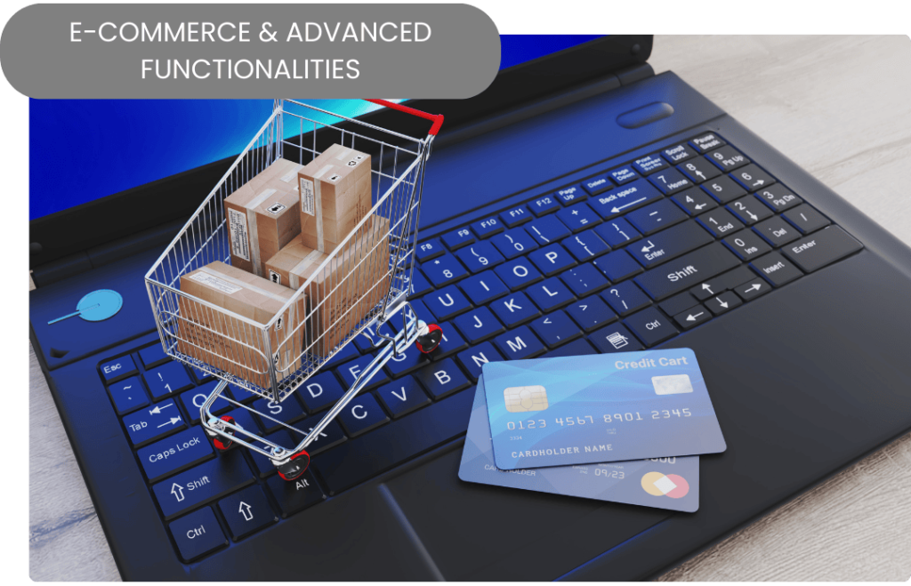 Drive In Digital Trade - E-commerce and Advanced Functionalities Services